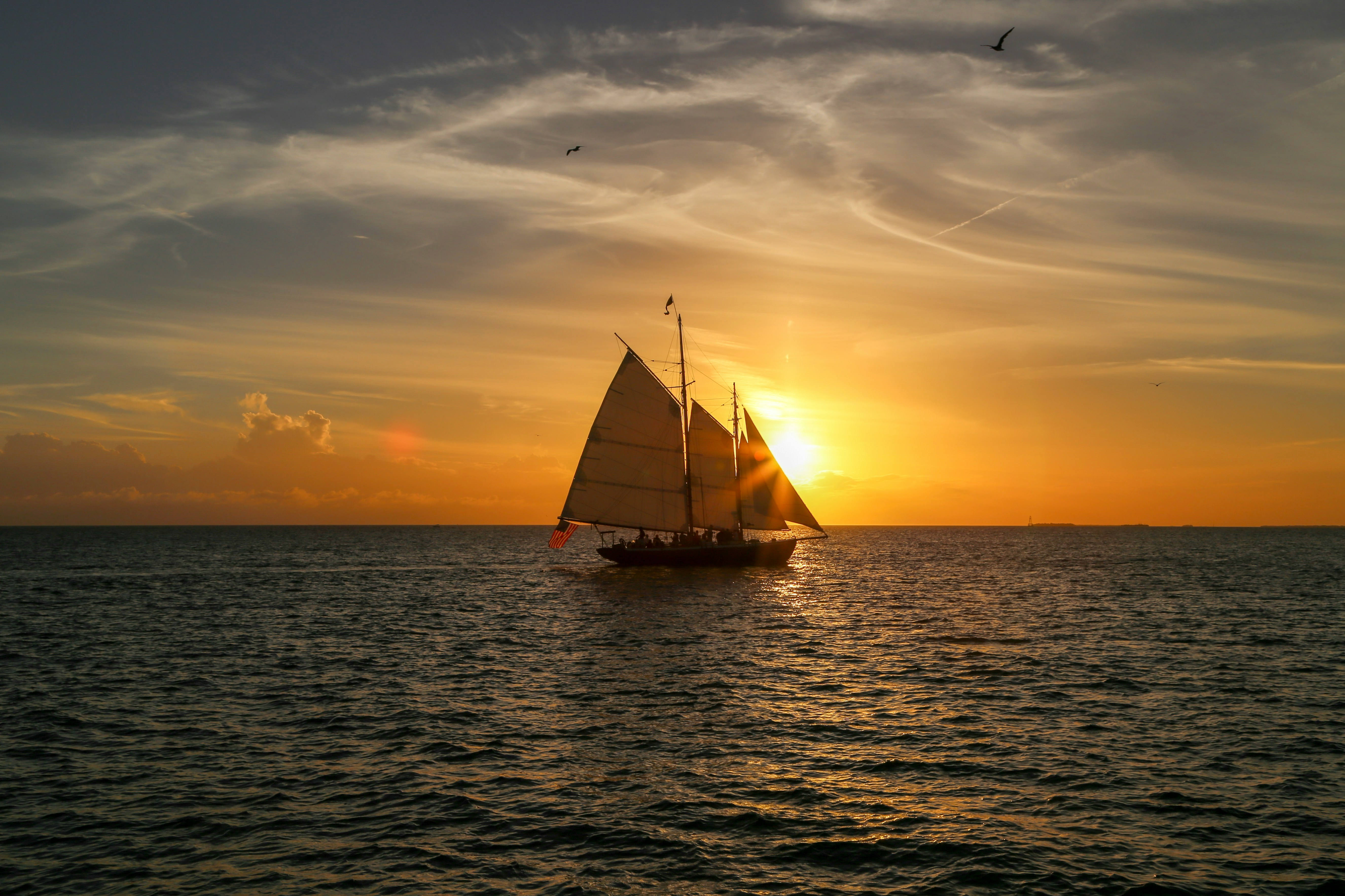 Thing To Do Tours, Excursions, and Cruises